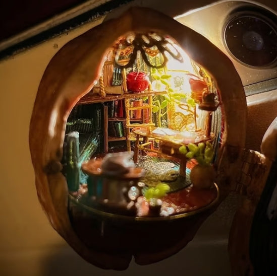 NEW Handmade 🏠 Walnut Shell Doll House--mini library, tiny World inside walnuts