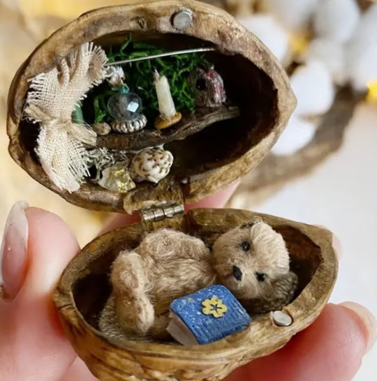 NEW Handmade 🏠 Walnut Shell Doll House--mini library, tiny World inside walnuts