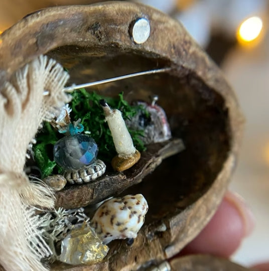 NEW Handmade 🏠 Walnut Shell Doll House--mini library, tiny World inside walnuts