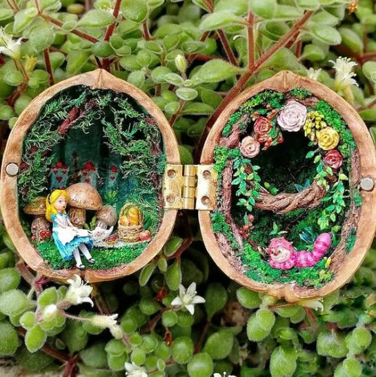 NEW Handmade 🏠 Walnut Shell Doll House--mini library, tiny World inside walnuts