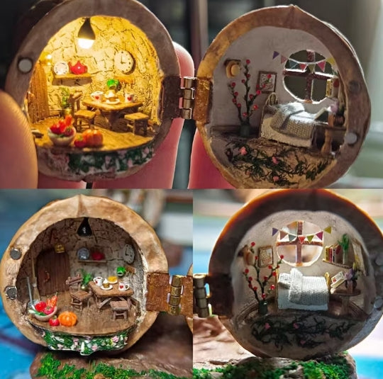 NEW Handmade 🏠 Walnut Shell Doll House--mini library, tiny World inside walnuts