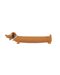 Dachshund