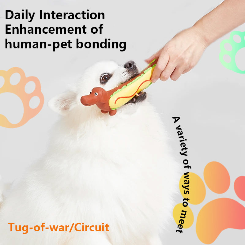 2025 New PawSoothe-Dachshund™ For Heavy Chewers🦮🐕‍🦺